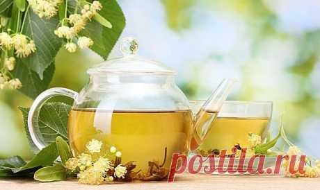 Полезные новости - зеленый чай,фитогормоны,наркотики,магнезия