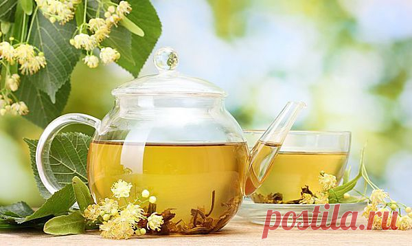 Полезные новости - зеленый чай,фитогормоны,наркотики,магнезия