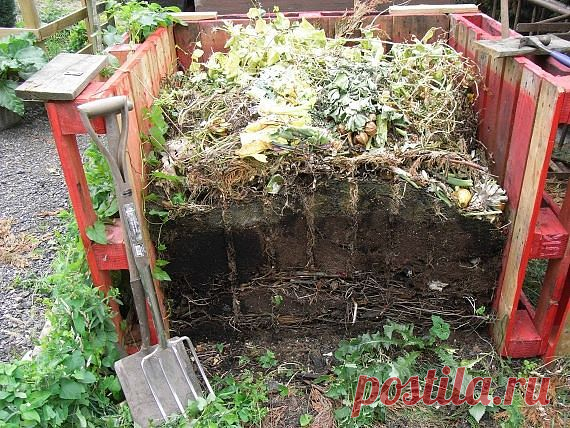 (16) Одноклассники