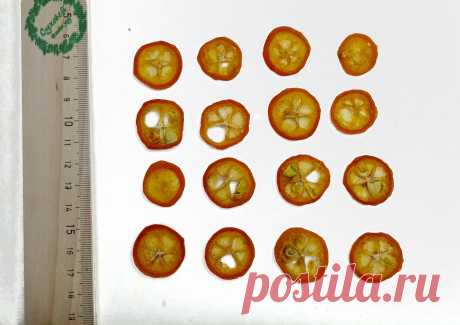 Сушеные плоские ломтики кумквата для заливки смолой купить