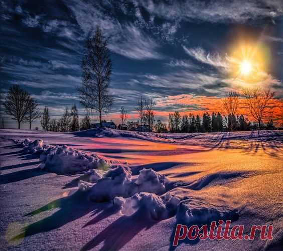 zedge.net  |  Pinterest