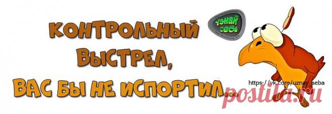 Контрольный выстрел,
вас бы не испортил...

#uznay_seba