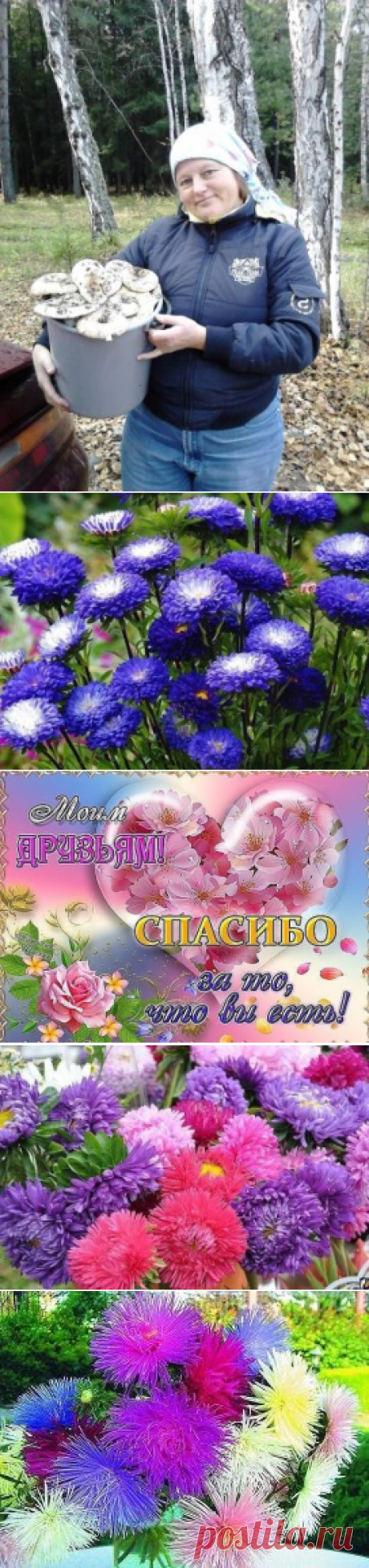(43) Одноклассники