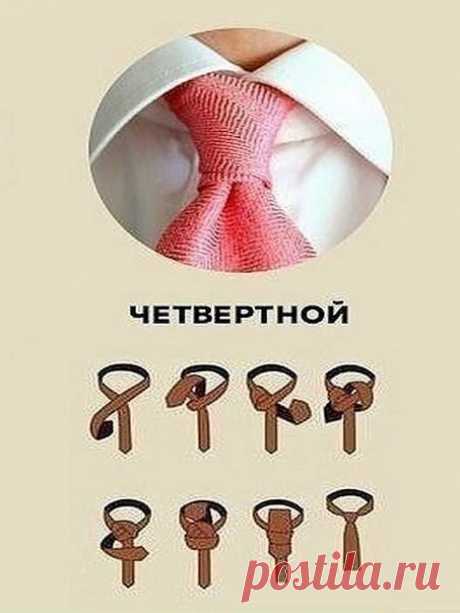 Несколько способов завязать галстук