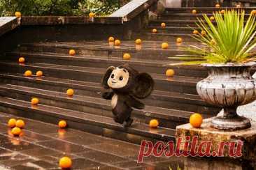 В Госдуме сделали неожиданное заявление о Чебурашке