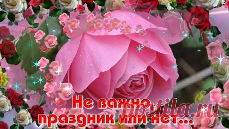 Розовое пожелание !