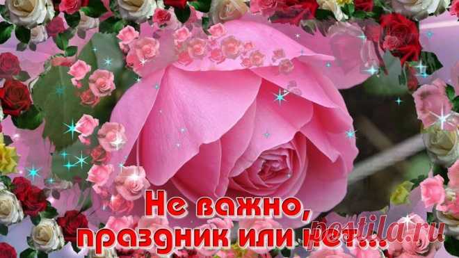 Розовое пожелание !