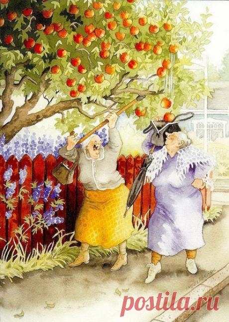 Старушки от inge look