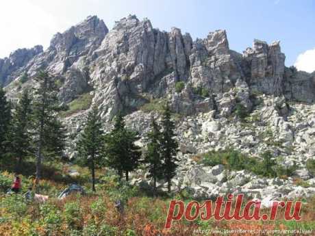 Флария )
Россия, Россия