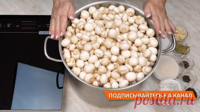 Маринованные грибы на зиму без стерилизации! Рецепт маринада для грибов! Маринованные шампиньоны! | Дина, Коллекция Рецептов | Яндекс Дзен