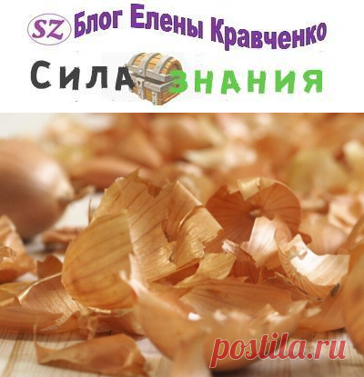 Луковая шелуха для огорода и сада: правильное применение удобрения