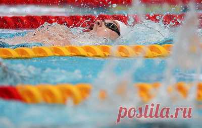 Сборная Генпрокуратуры выиграла Спартакиаду органов власти в плавании. Второе место заняла команда ФНС России, третье - сборная Госдумы