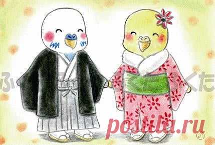 Budgie Postcard - Sweet Birdie Boutique, Gift Shop for Bird Lovers – Sweet Birdie Boutique (International)