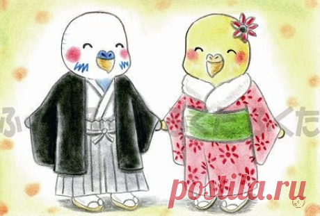 Budgie Postcard - Sweet Birdie Boutique, Gift Shop for Bird Lovers – Sweet Birdie Boutique (International)