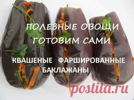 Летние рецепты. Квашеные фаршированные баклажаны