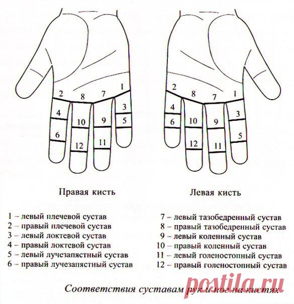 Су-джок терапия для суставов
