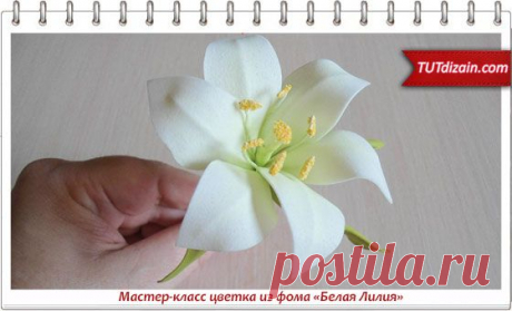 Мастер-класс цветка из фома «Белая Лилия» » Планета рукоделия