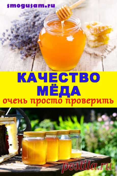 Как выбрать натуральный качественный мед и не купить подделку