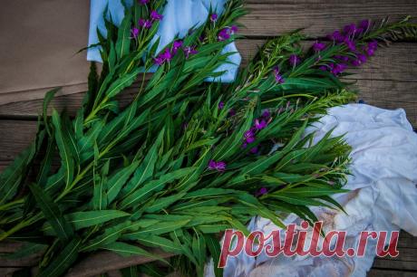 Взяла остатки хлопковой ткани, цветущий кипрей и молоток. Показываю, какую красоту для дома я сделала - Советы хозяйке Однажды показав сыну способ окраски бумаги и ткани при помощи молотка, я сама влюбилась в эту технику. Покажу вам сегодня маленькие хитрости окраски льняной или хлопковой ткани кипреем, который, пожалуй, дают один из самых лучших результатов окраски. Приспособления для работы не хитрые: ткань обязательно из натуральных волокон, свежий кипрей или иван-чай, ...