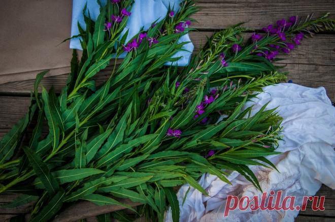 Взяла остатки хлопковой ткани, цветущий кипрей и молоток. Показываю, какую красоту для дома я сделала - Советы хозяйке Однажды показав сыну способ окраски бумаги и ткани при помощи молотка, я сама влюбилась в эту технику. Покажу вам сегодня маленькие хитрости окраски льняной или хлопковой ткани кипреем, который, пожалуй, дают один из самых лучших результатов окраски. Приспособления для работы не хитрые: ткань обязательно из натуральных волокон, свежий кипрей или иван-чай, ...