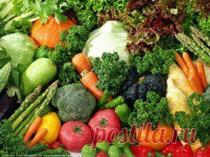 Как избавиться от клещей на дачном участке?