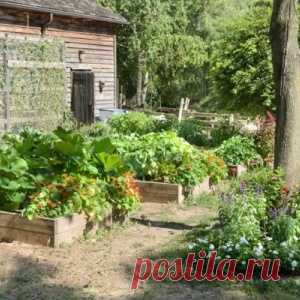 10 простых способов создать бюджетный и красивый сад