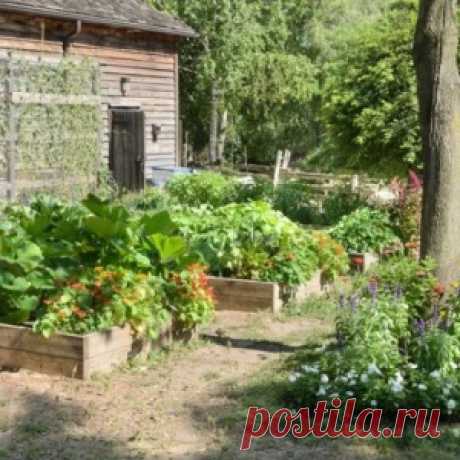 10 простых способов создать бюджетный и красивый сад