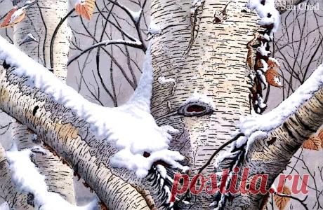 Dr Chernykh A.D. 
Черных Александр Дмитриевич
Сан Чад, San Chad 
Доктор наук, автор 14 книг, 13 патентов и более 100 научных публикаций. Участник Всемир-ного (1989, Пекин) и Междуна-родных Конгрессов.