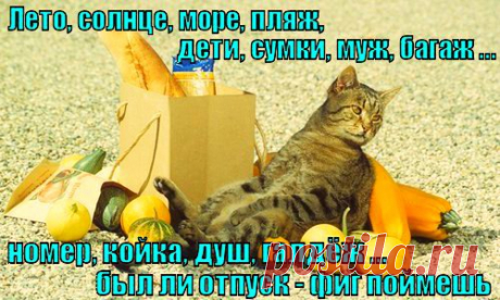 Самые умные животные - это дельфины, обезьяны и люди.
Одни лучше всех плавают в море, другие лучше всех едят фрукты,
а третьи 11 месяцев в году пашут, как лошади, чтобы 1 месяц
плавать в море и есть фрукты.