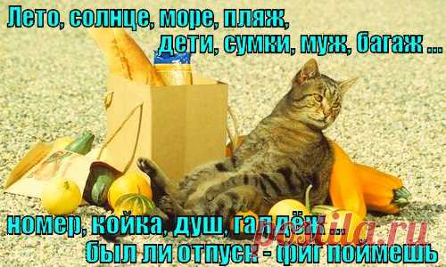 Самые умные животные - это дельфины, обезьяны и люди.
Одни лучше всех плавают в море, другие лучше всех едят фрукты,
а третьи 11 месяцев в году пашут, как лошади, чтобы 1 месяц
плавать в море и есть фрукты.