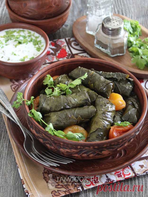 Узбекская долма — рецепт с фото пошагово