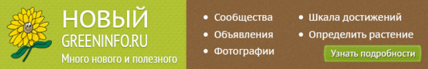 Мошки в орхидеях - Форум - Фаленопсис - Орхидеи - Комнатные растения - GreenInfo.ru