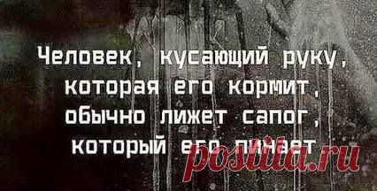 цитаты