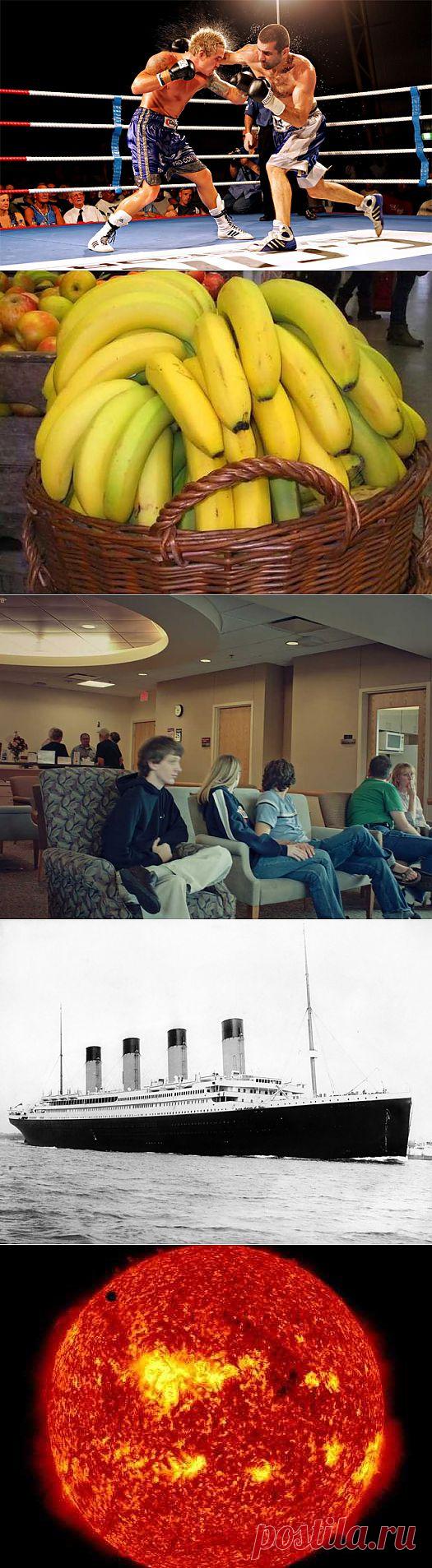 (+1) тема - 12 правдивых фактов, в которые трудно поверить | Наука и техника