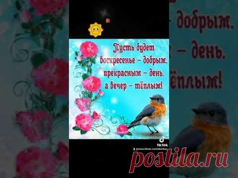 Позитивчик. ЯРКОГО И ЧУДЕСНОГО ВОСКРЕСЕНЬЯ ! ... #хорошегодня 🥰