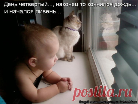Котоматрица: Главная