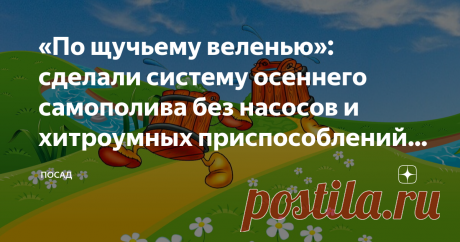 «По щучьему веленью»: сделали систему осеннего самополива без насосов и хитроумных приспособлений. Секрет подглядела у водителей Извечная мечта разумно ленивого садовода: чтобы всё само делалось. Всё – не всё, но кое-что можно. Например, опорожнить двухсотлитровую бочку, не ударив палец о палец, да заодно и деревья в саду полить. Но, с другой стороны, каждый садовод знает, как тяжело таскать на себе вёдра и лейки, особенно, если болит спина, да ещё и электричество отключил...