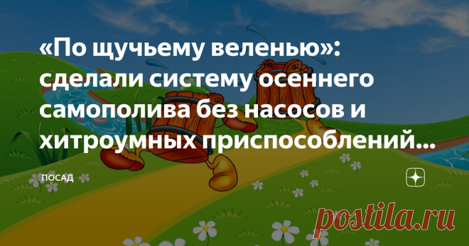 «По щучьему веленью»: сделали систему осеннего самополива без насосов и хитроумных приспособлений. Секрет подглядела у водителей Извечная мечта разумно ленивого садовода: чтобы всё само делалось. Всё – не всё, но кое-что можно. Например, опорожнить двухсотлитровую бочку, не ударив палец о палец, да заодно и деревья в саду полить. Но, с другой стороны, каждый садовод знает, как тяжело таскать на себе вёдра и лейки, особенно, если болит спина, да ещё и электричество отключил...