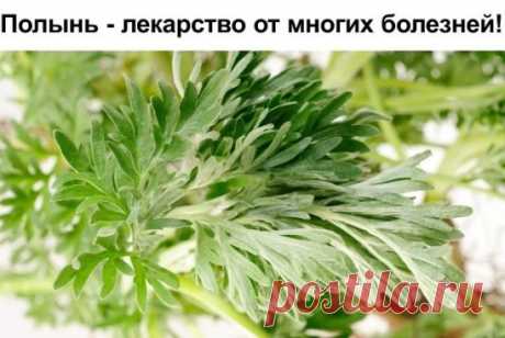 (1) Одноклассники