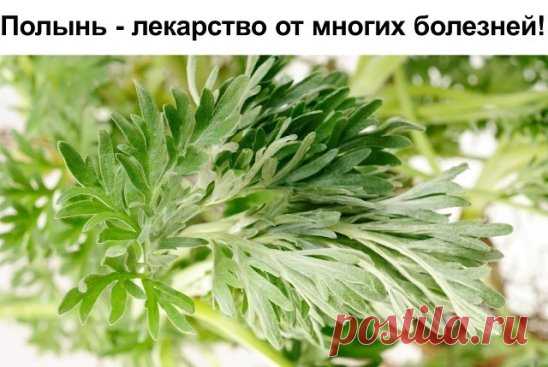 (1) Одноклассники