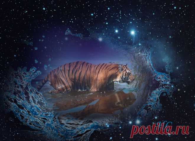 ✧ Гороскоп АН на 2022 год ✧ ✨ Автор: Нина Стрелкова
✧ Новый, 2022 год, будет годом Чёрного Тигра, по восточному лунному календарю он наступит 1 февраля, после новолуния в знаке Водолея. Переходящая восточная стихия наступающего года – Вода. Поэтому Тигр не голубой, как его называют в некоторых источниках, а чёрный, это цвет Воды в восточной традиции. В западном Зодиаке Тигру соответствует знак Близнецов, постоянная его стихия – Воздух...