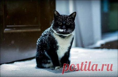 Интересные новости