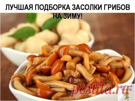(99+) Одноклассники