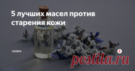 5 лучших масел против старения кожи Их эффективность доказана учеными. Кремы, масла, сыворотки с искусственными компонентами, "уколы красоты" в лучшем случае дают только временный эффект. Как найти по-настоящему действенное средство от морщин? Просто нужно знать самые ценные компоненты в составе.