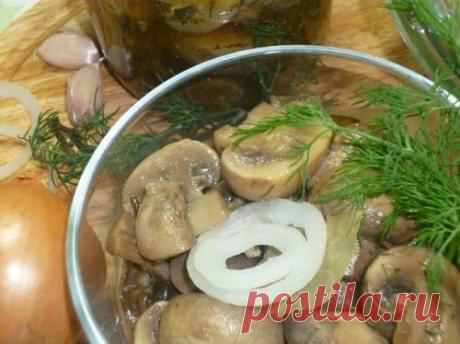 Шампиньоны по-венесуэльски. Рецепт с фото. Пошаговые фотографии. GurmeL