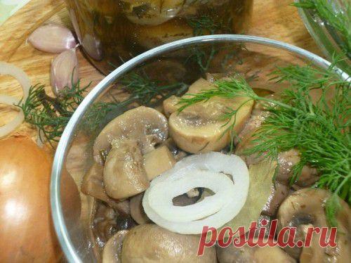 Шампиньоны по-венесуэльски. Рецепт с фото. Пошаговые фотографии. GurmeL