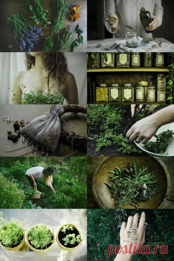 (2) Pinterest • Всемирный каталог идей