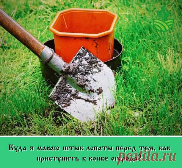 Как только зимние месяцы подходят к концу, перед садоводами и огородниками встает необходимость перекапывания собственного земельного участка. Это довольно сложная, но необходимая работа, которая требует физических затрат. При этом нужно понимать, что только перекопка грунта позволит обогатить землю кислородом, даст возможность внести удобрения и повысит эффективность грунта. В данной статье я расскажу о том, как можно значительно упростить копку огорода используя для этог...