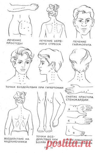 В древном Китае было обнаружено, что воздействуя на те или иные точки на теле человека, можно снимать боль (зубную, головную, желудочную или т.д.), стимулировать работу внутренних органов и лечить болезни.
Что бы добиться желаемого эффекта нужно массировать нужную точку 2-5 мин.
