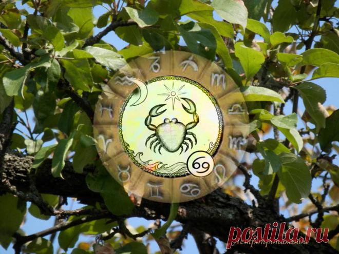 Понадобится проницательность и предусмотрительность. Гороскоп для Рака с 1 по 29 августа 2021 | Астропропаганда | Яндекс Дзен
♋✨ Автор: астролог Нина Стрелкова. ✧ Большую часто августа вас будет волновать материальные дела или вопросы безопасности. Особенно хлопотными могут быть первые две недели месяца. Есть риск потерь и срыва планов, осложнения в делах и поездках. В течение всего месяца надо быть бдительными, возможны обманы, заблуждения, путаница в делах. Меньше суетитесь...